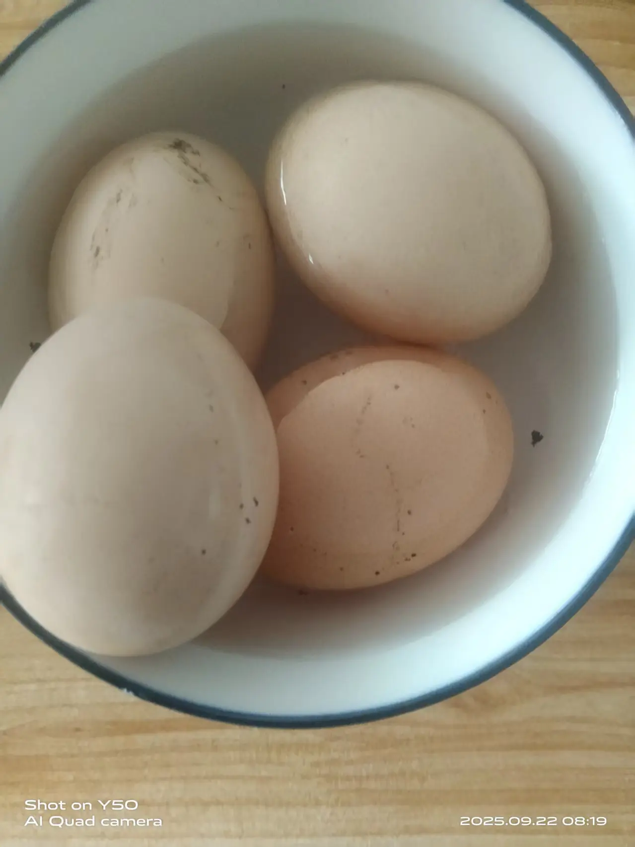 369440cbed221241b818e13db64bce12