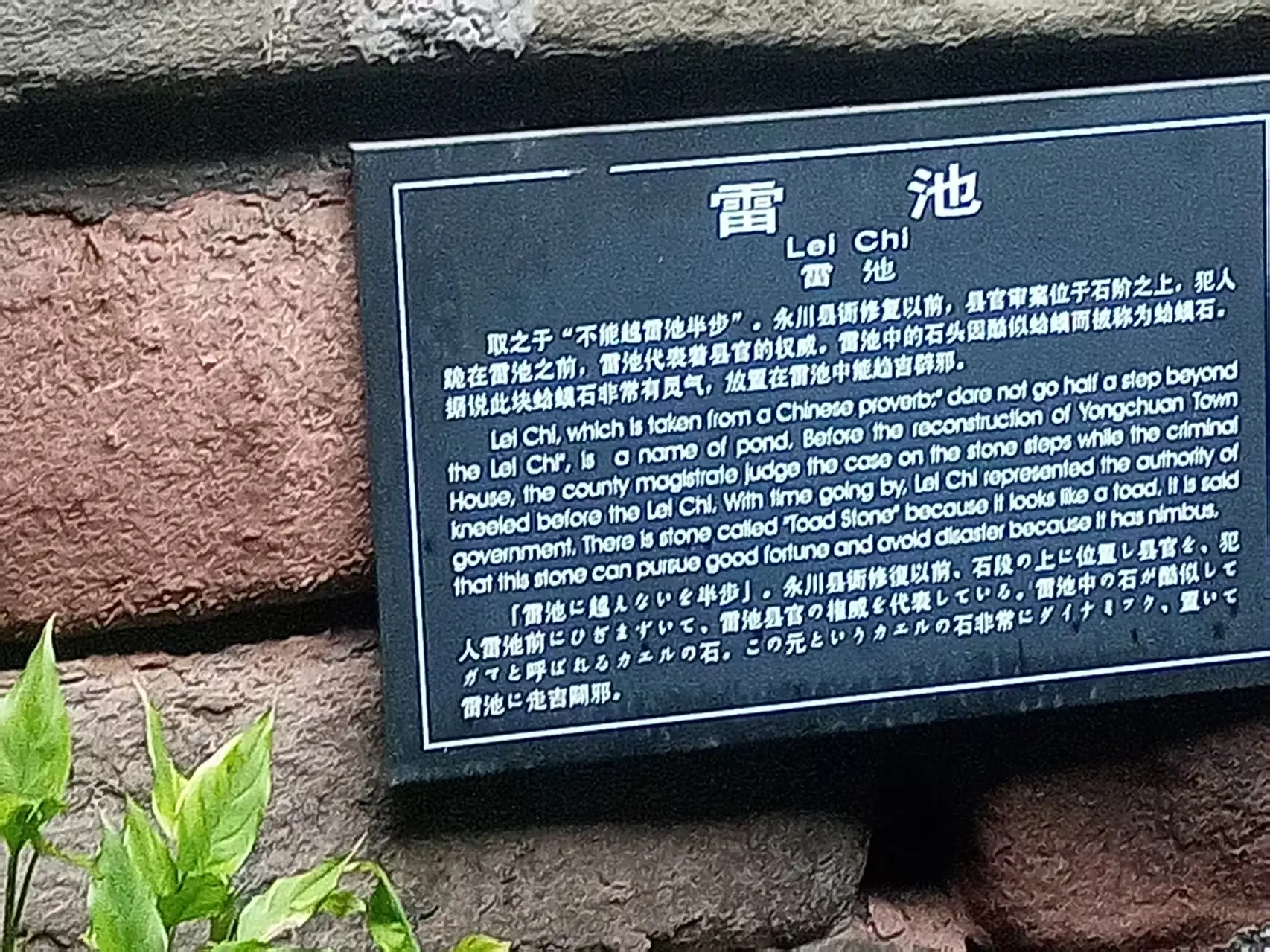 dreamerhe6e7eaf123b1237ec8c465f43655382c