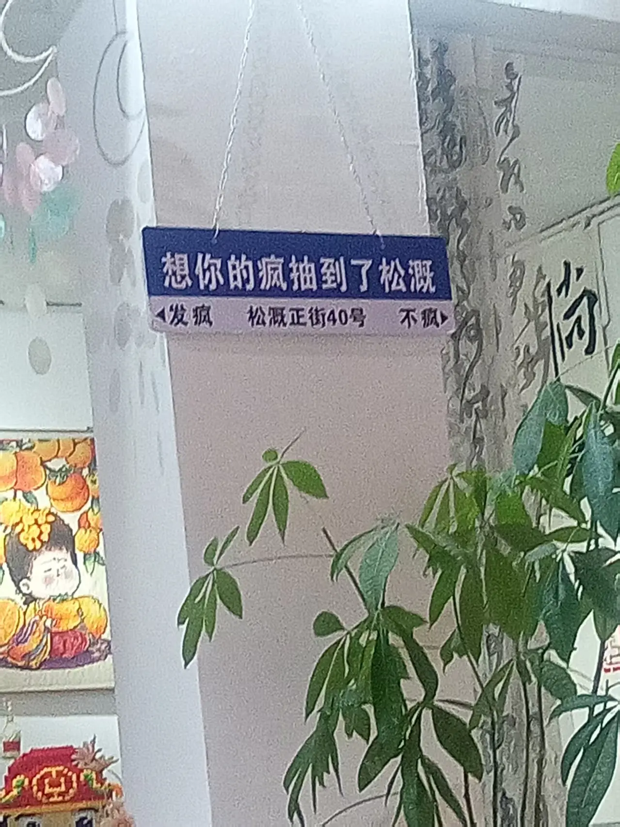 dreamerhe9b72552d81169f1171f28878749400d