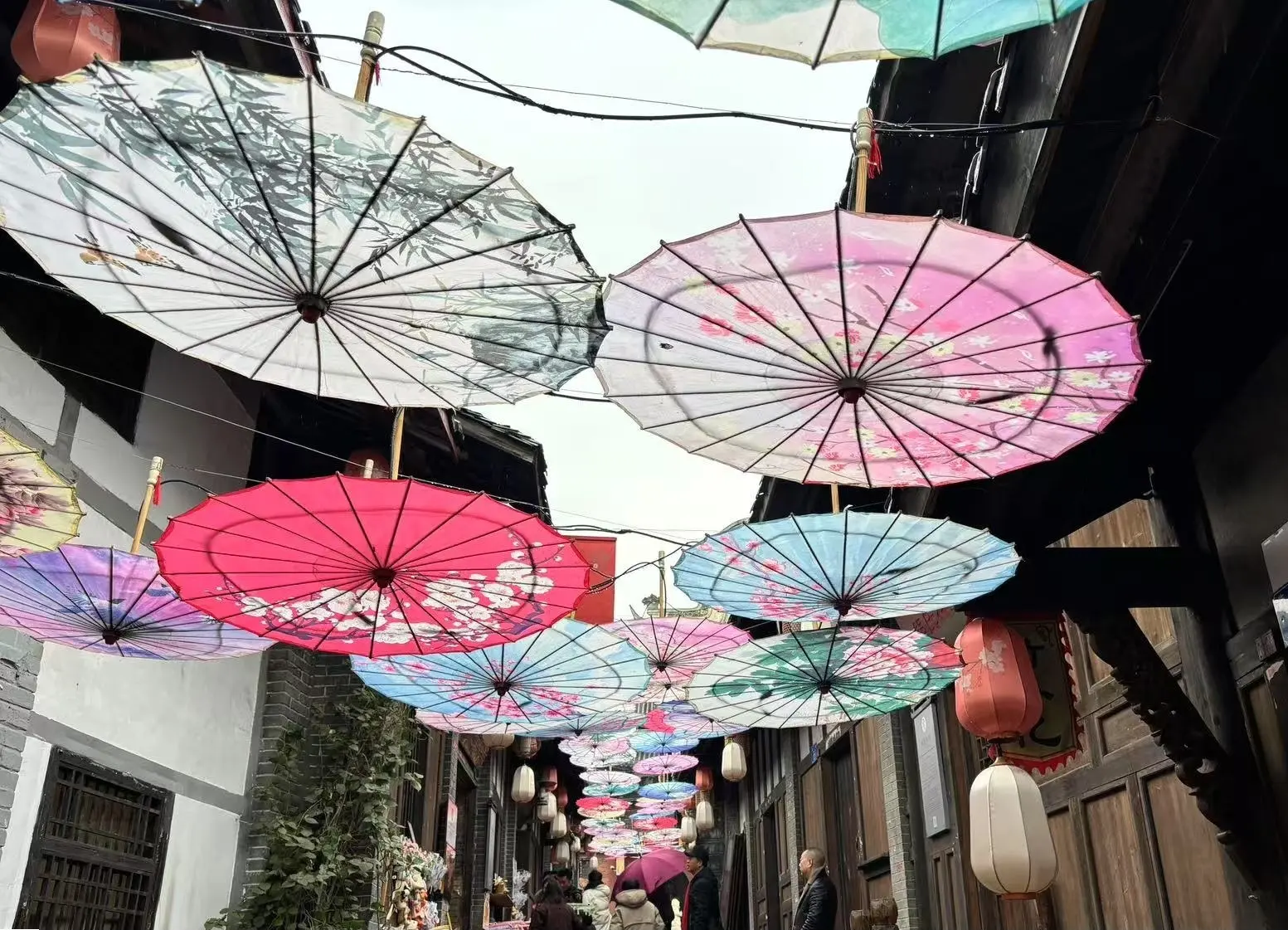 dreamerhemmexport1738491980395