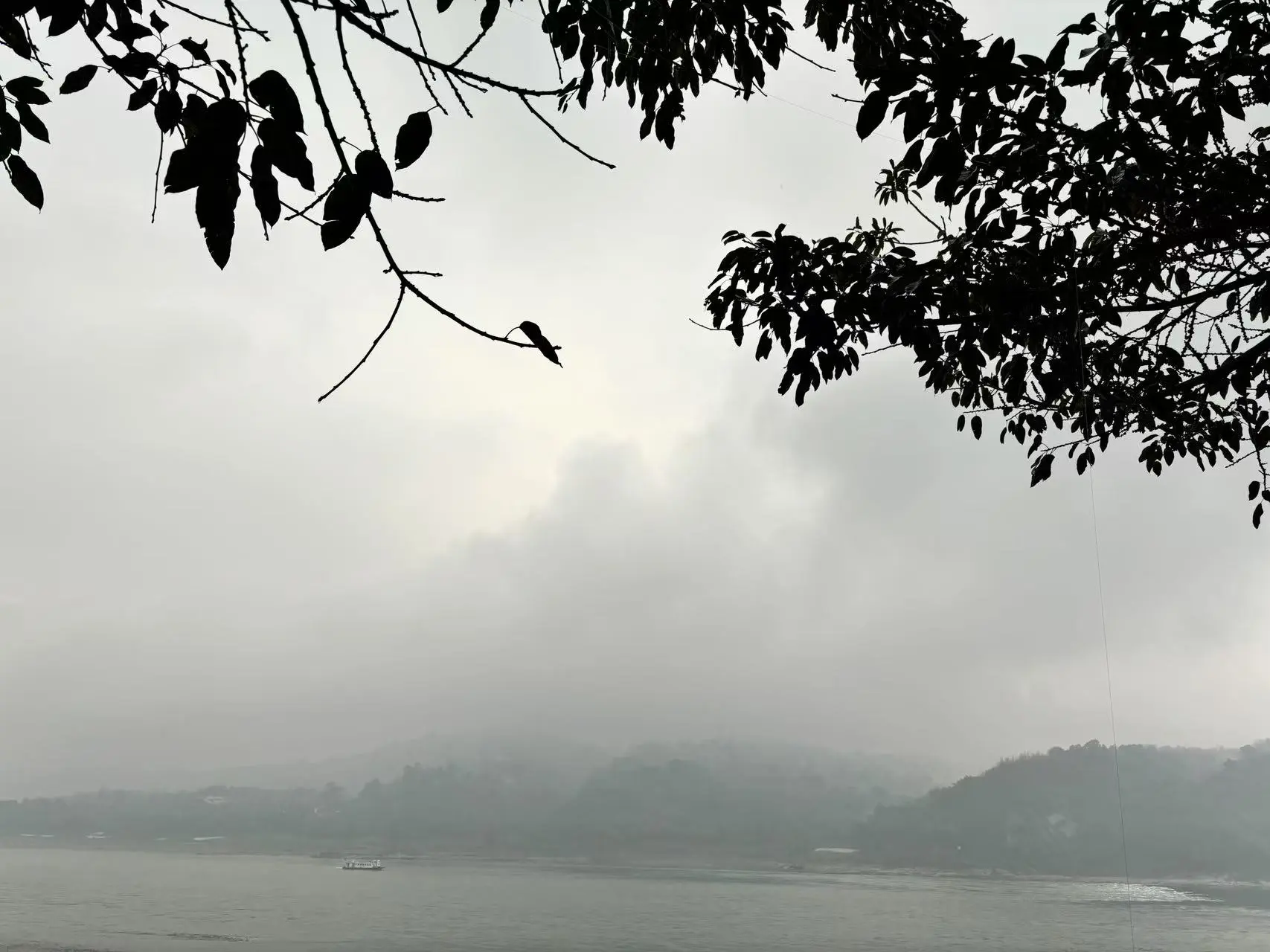 dreamerhemmexport1738491986156