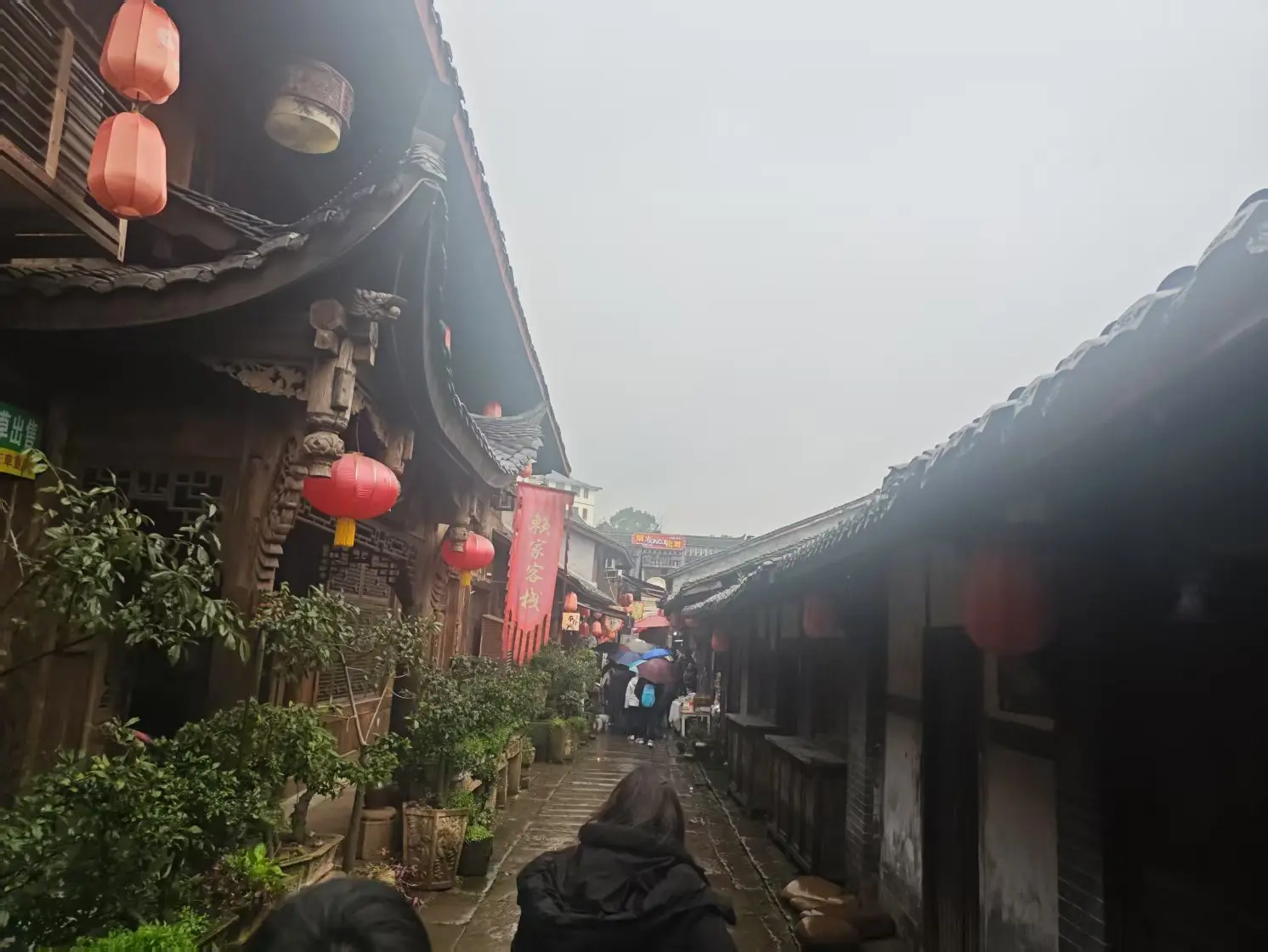 dreamerhemmexport1738492013102