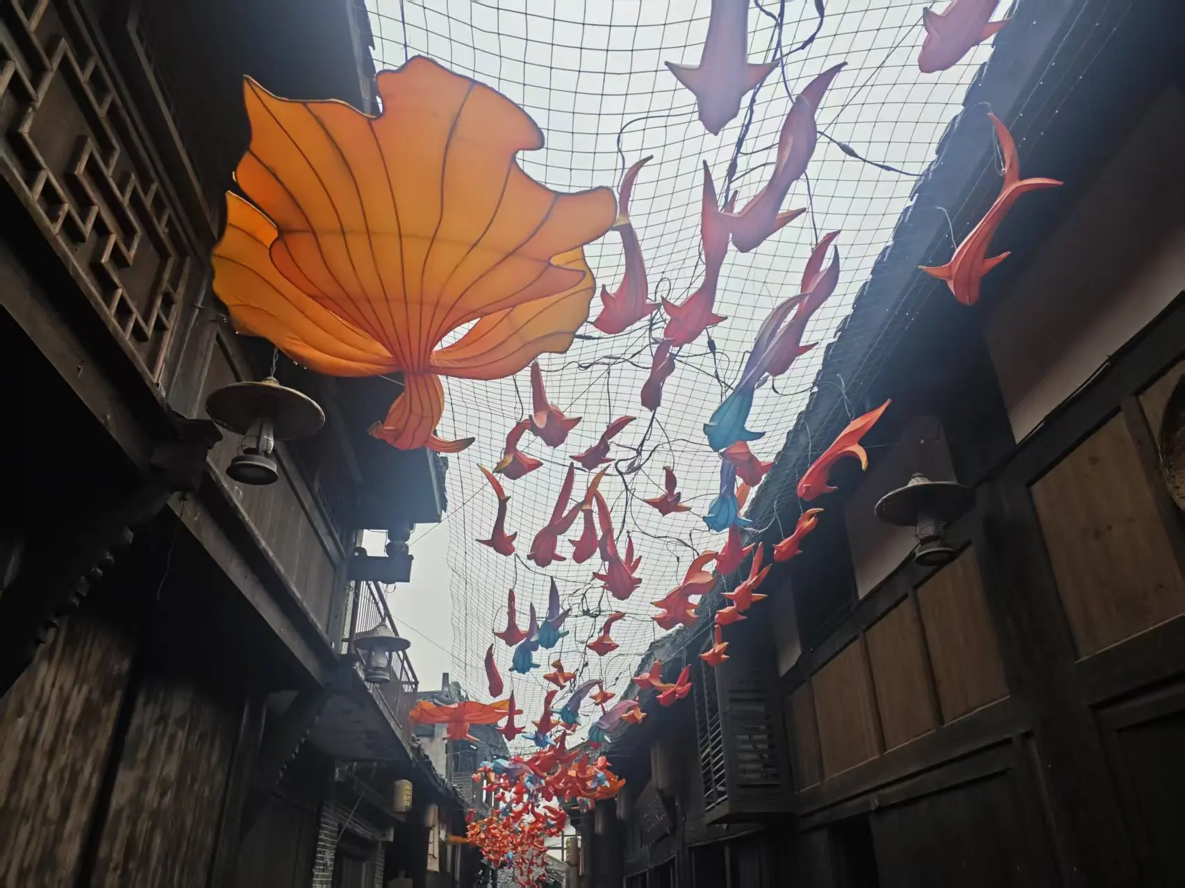 dreamerhemmexport1738494747468