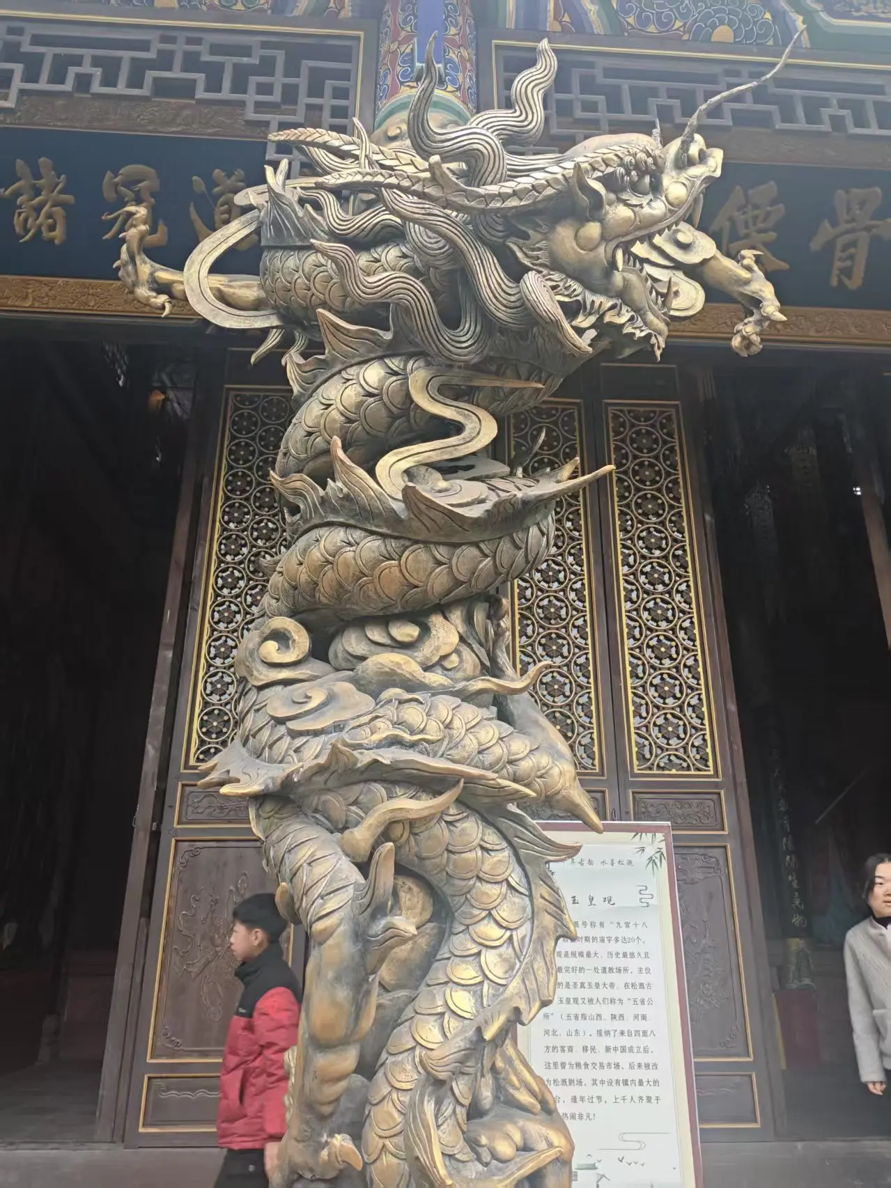 dreamerhemmexport1738494765188