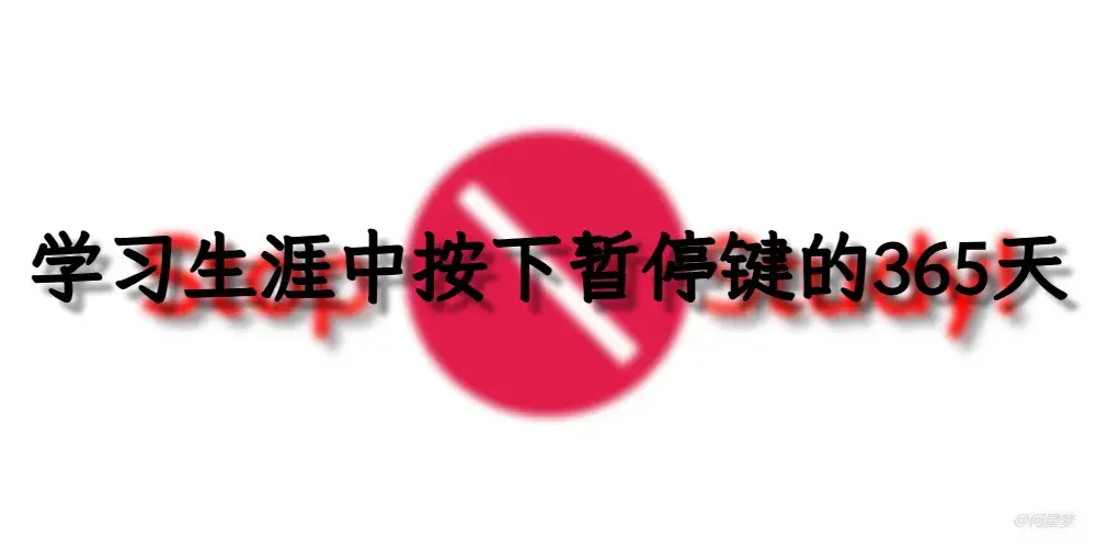 学习生涯中按下暂停键的365天